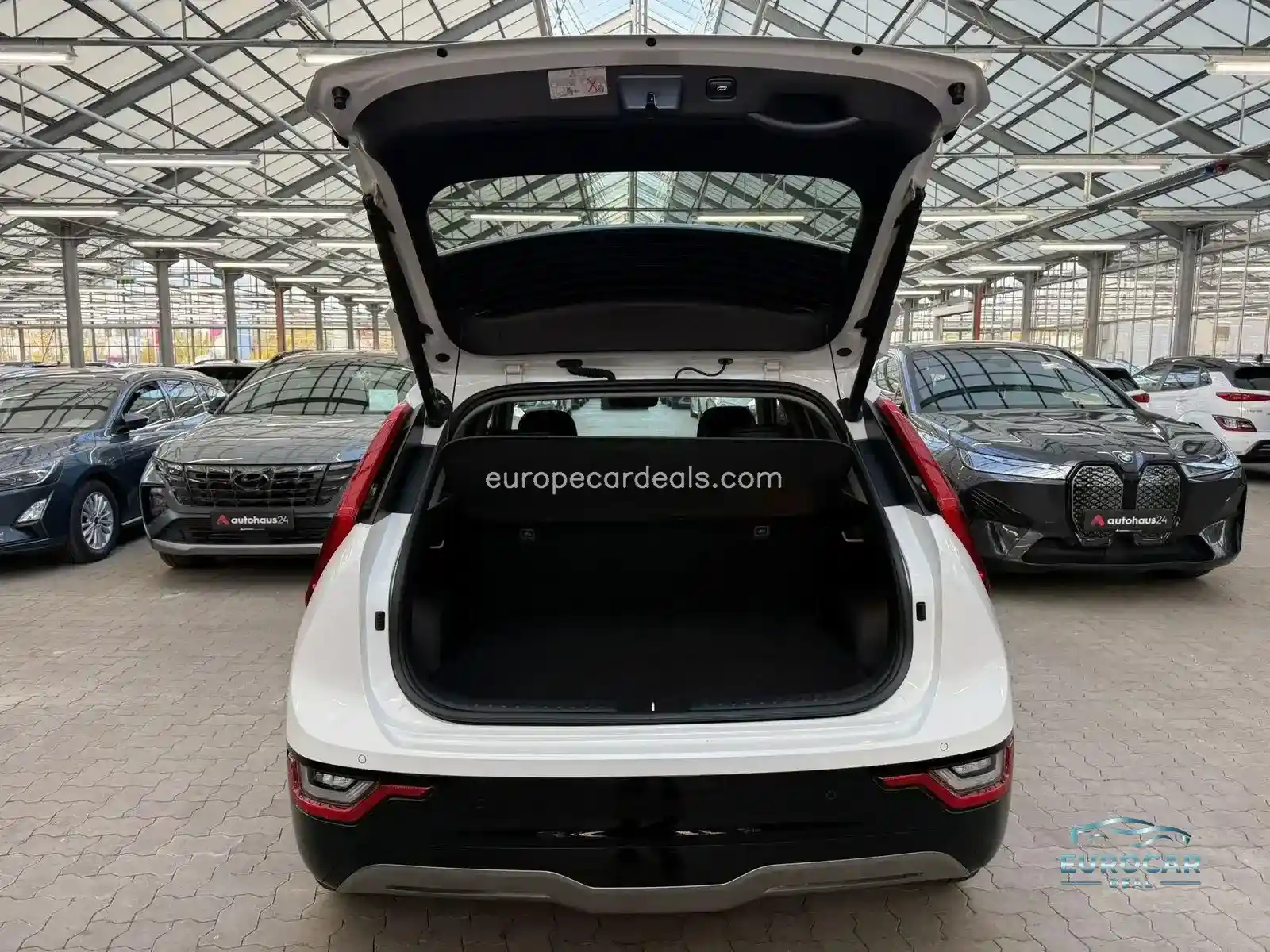 Kia Niro EV