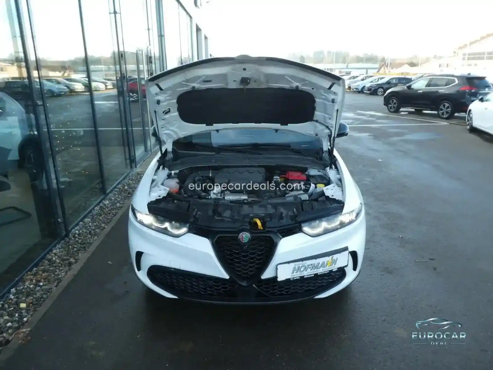 Alfa Romeo Tonale