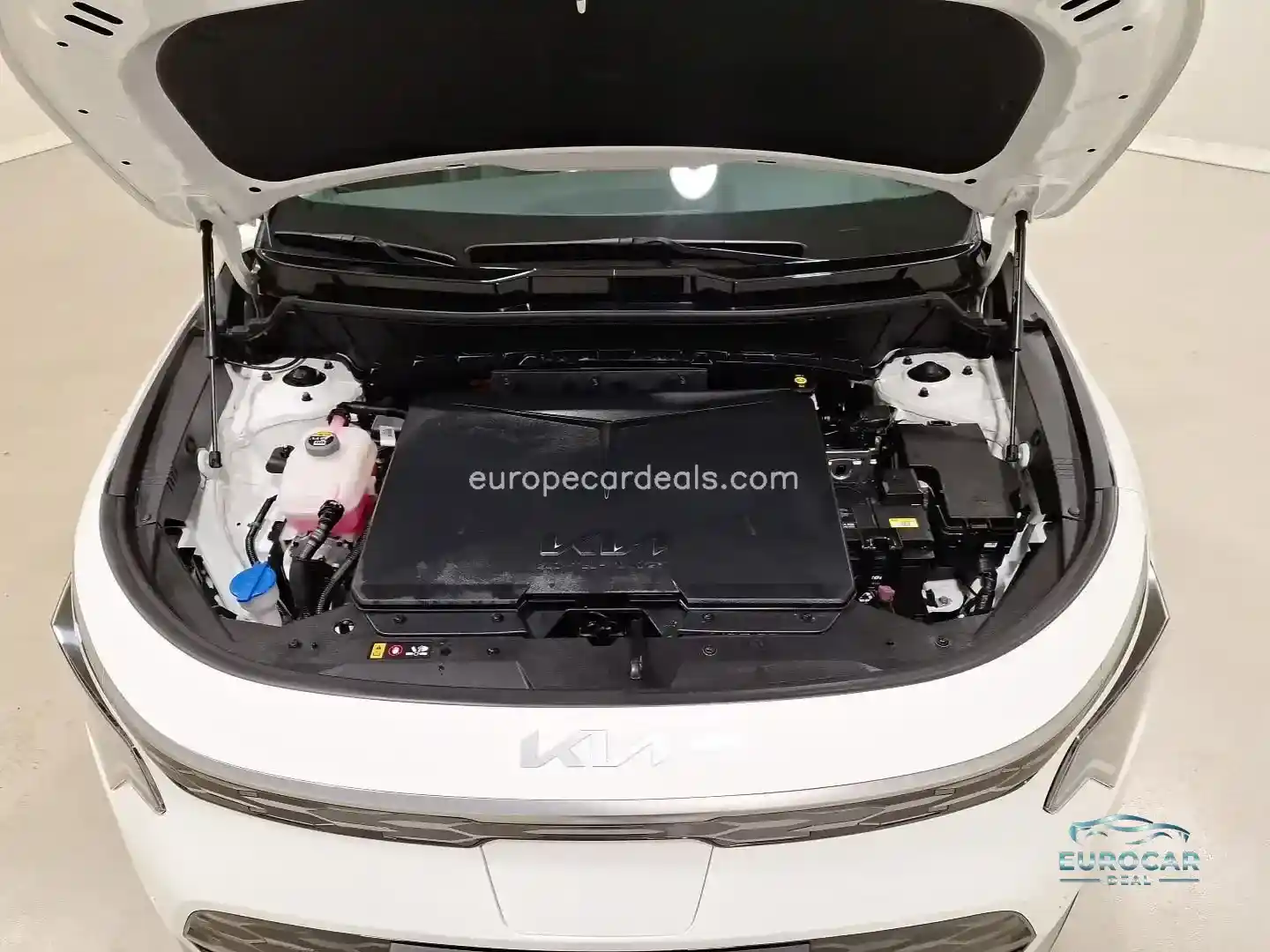 Kia Niro EV