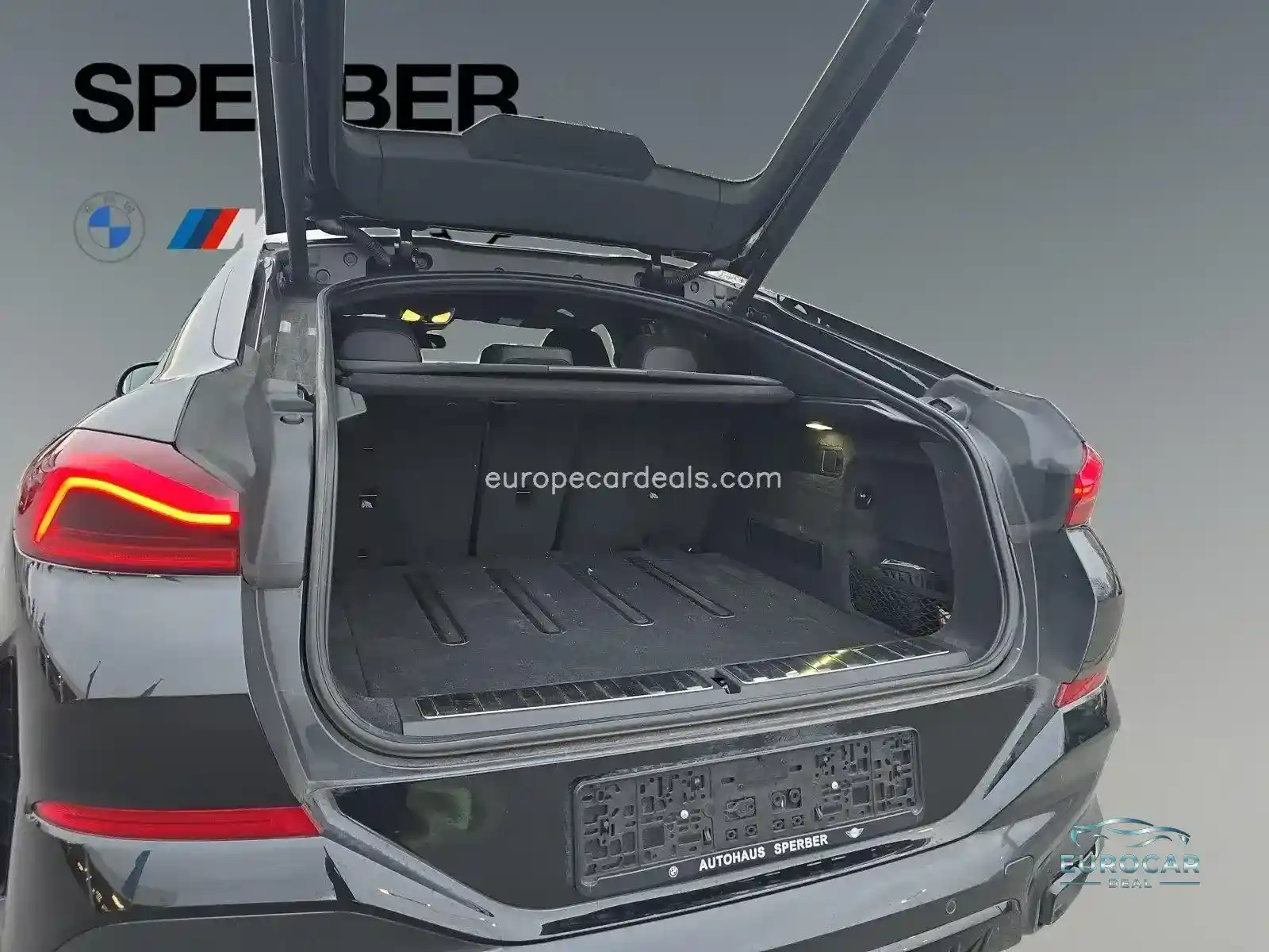 BMW X6 M60