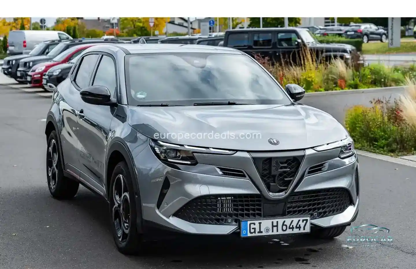 Alfa Romeo Junior