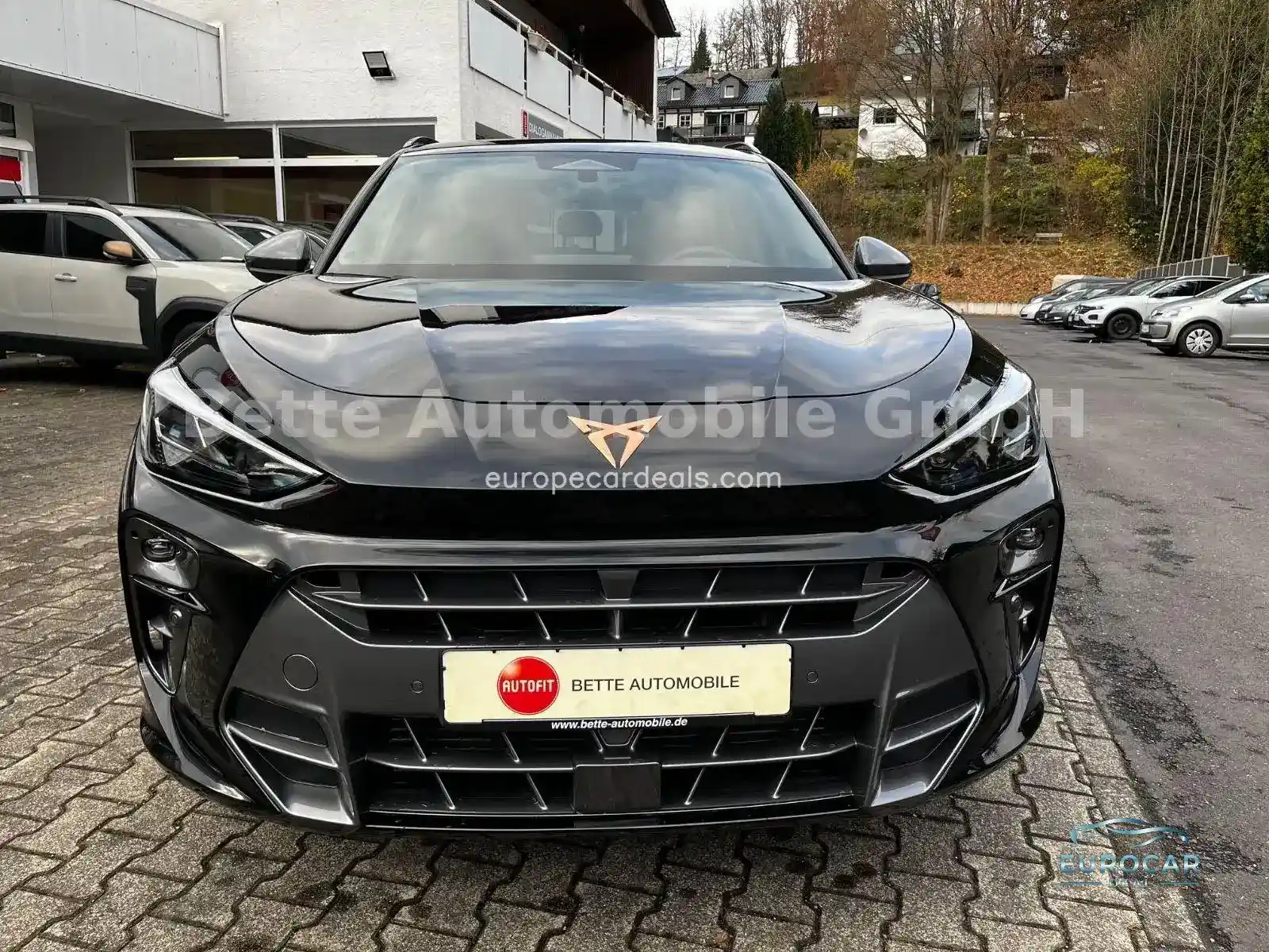 Cupra Terramar