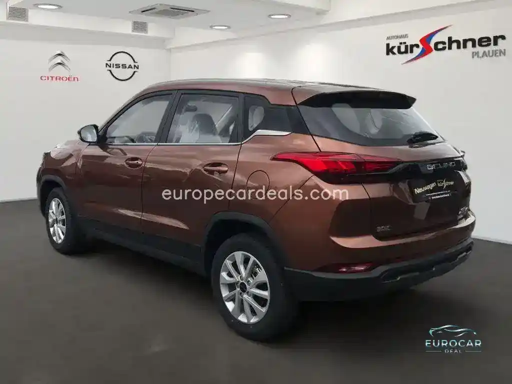 BAIC Other