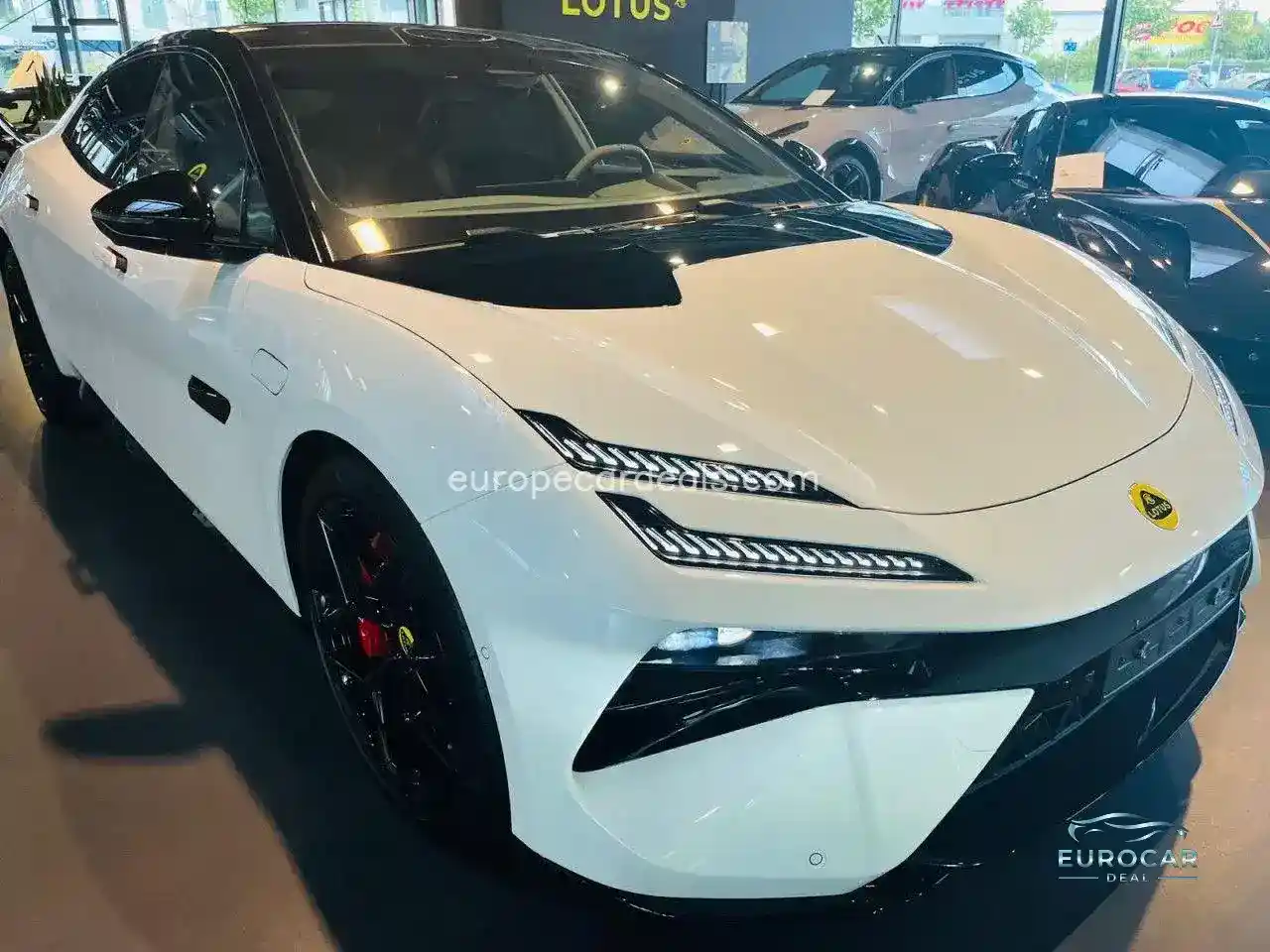 Lotus Emeya