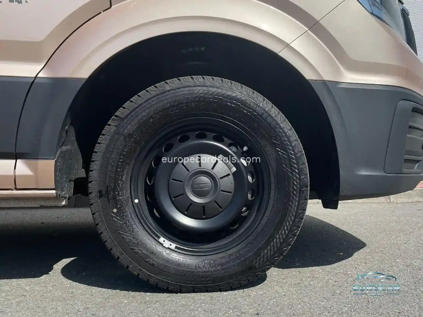 MAN TGE