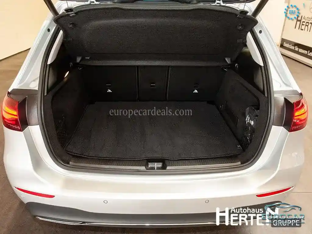Mercedes-Benz B 250