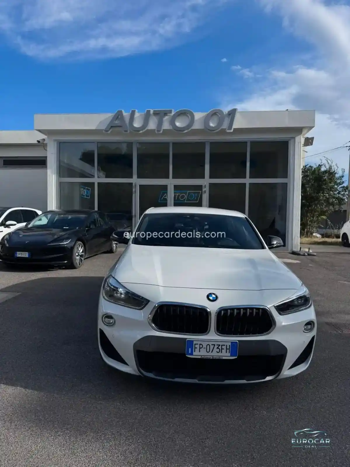 BMW X2