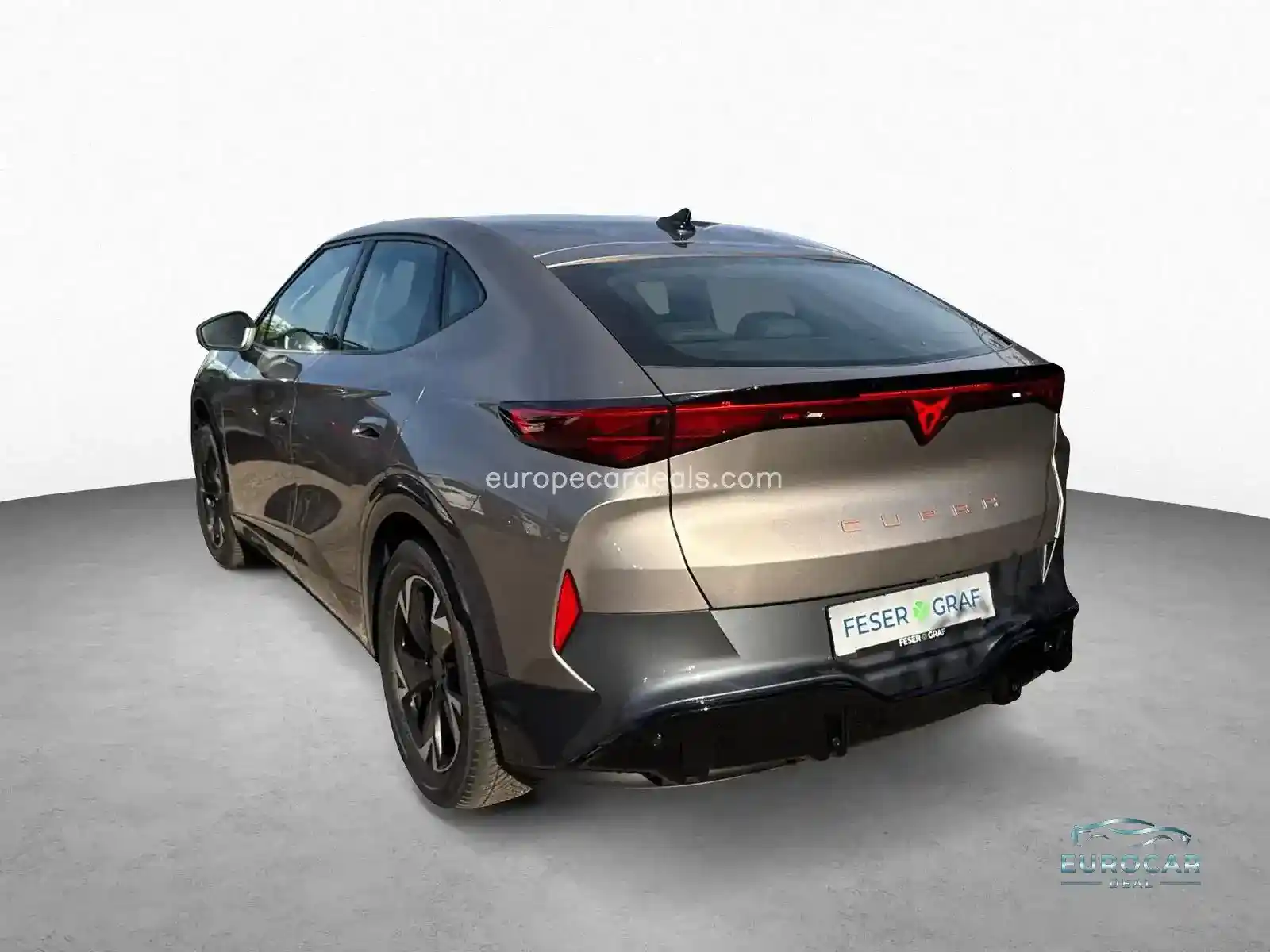 Cupra Tavascan