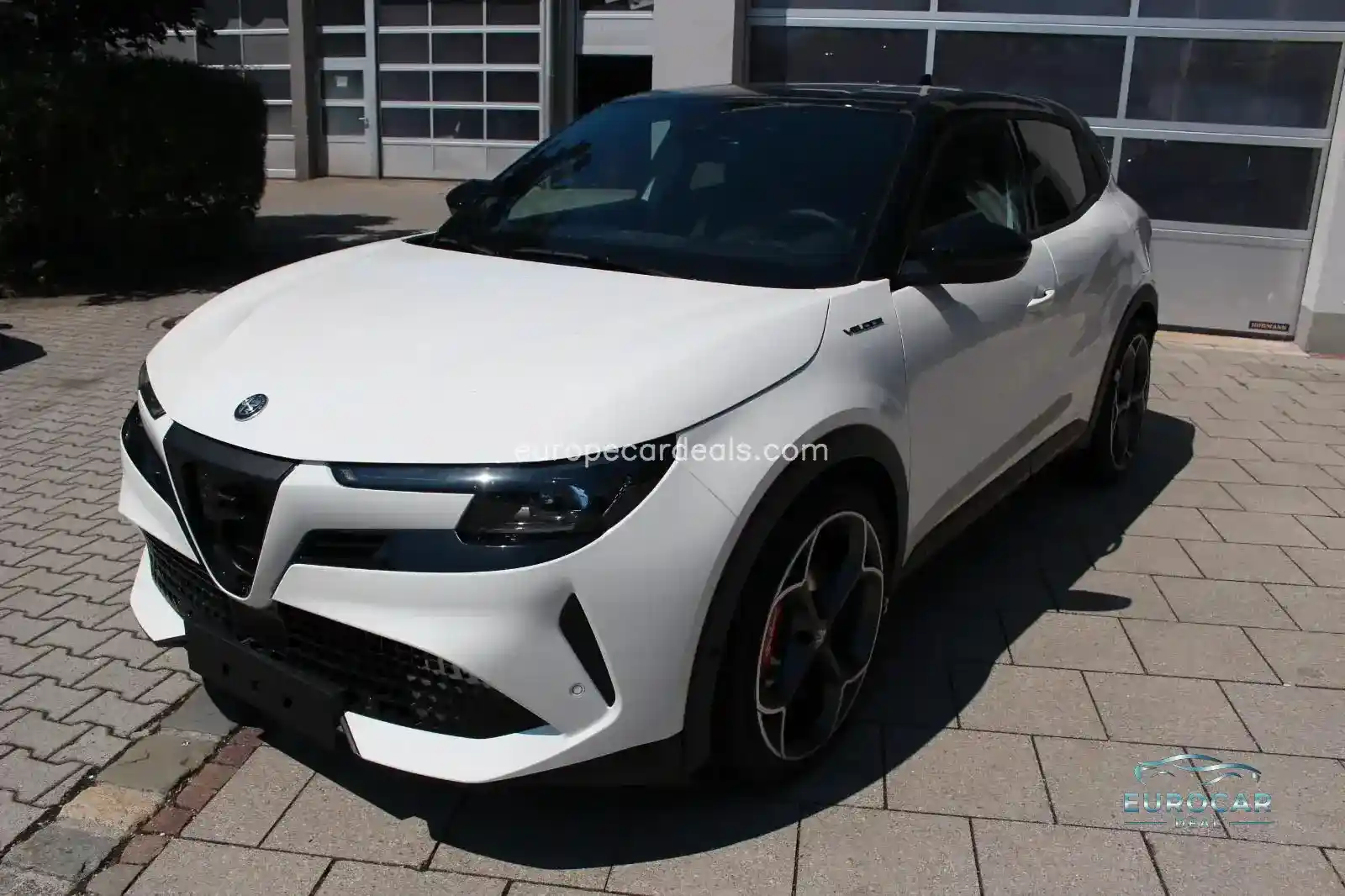 Alfa Romeo Junior