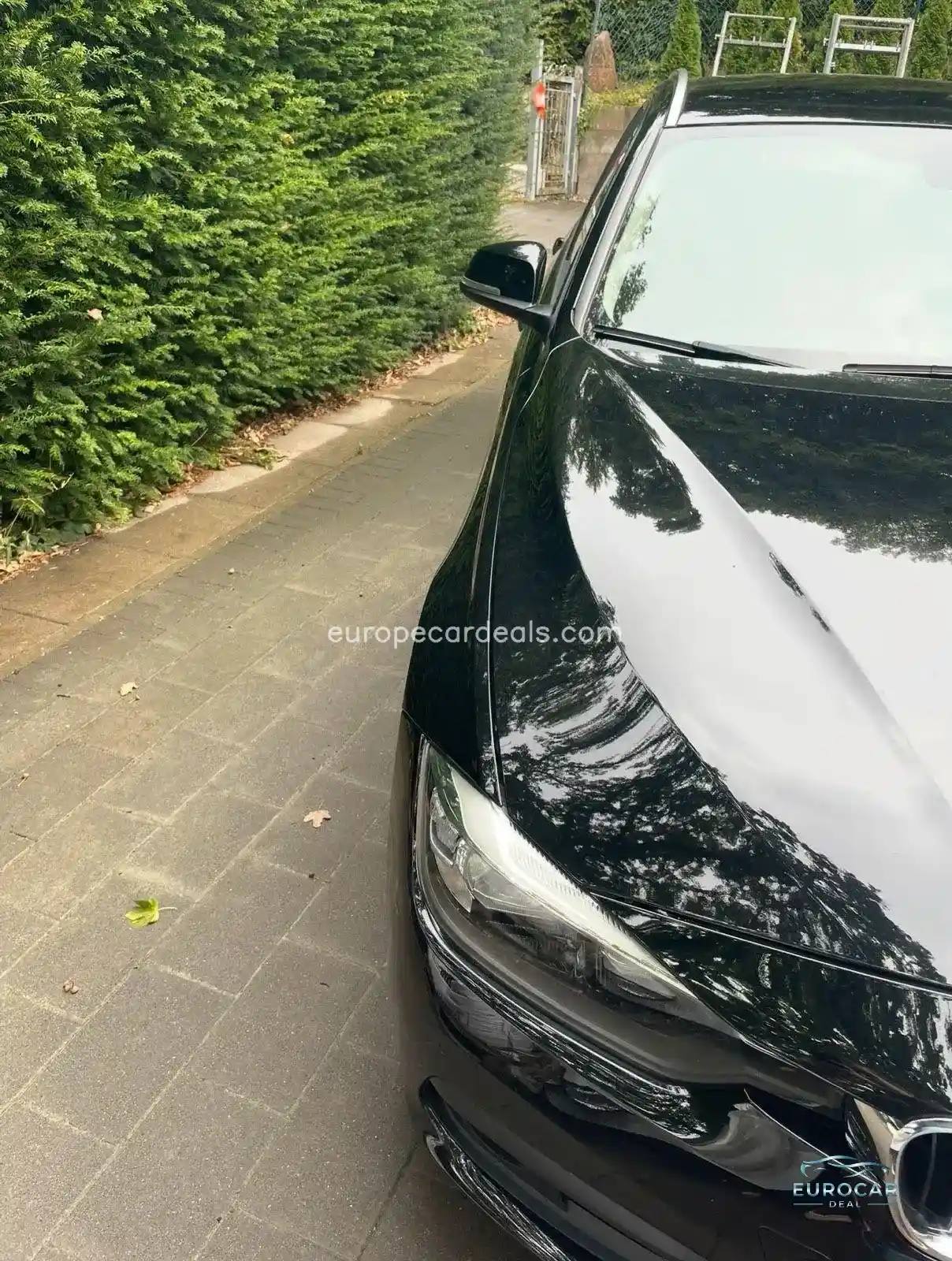 BMW 318