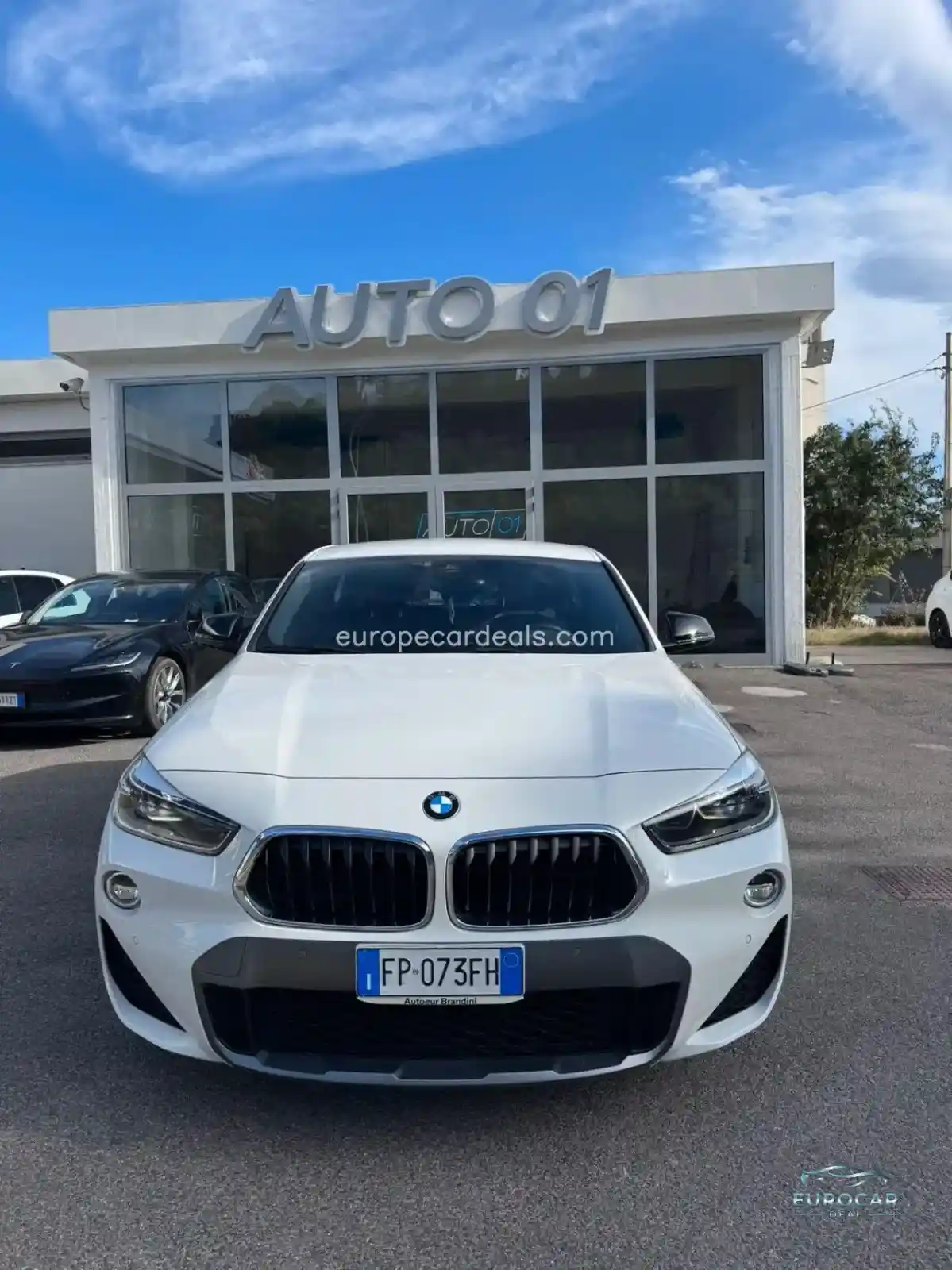 BMW X2