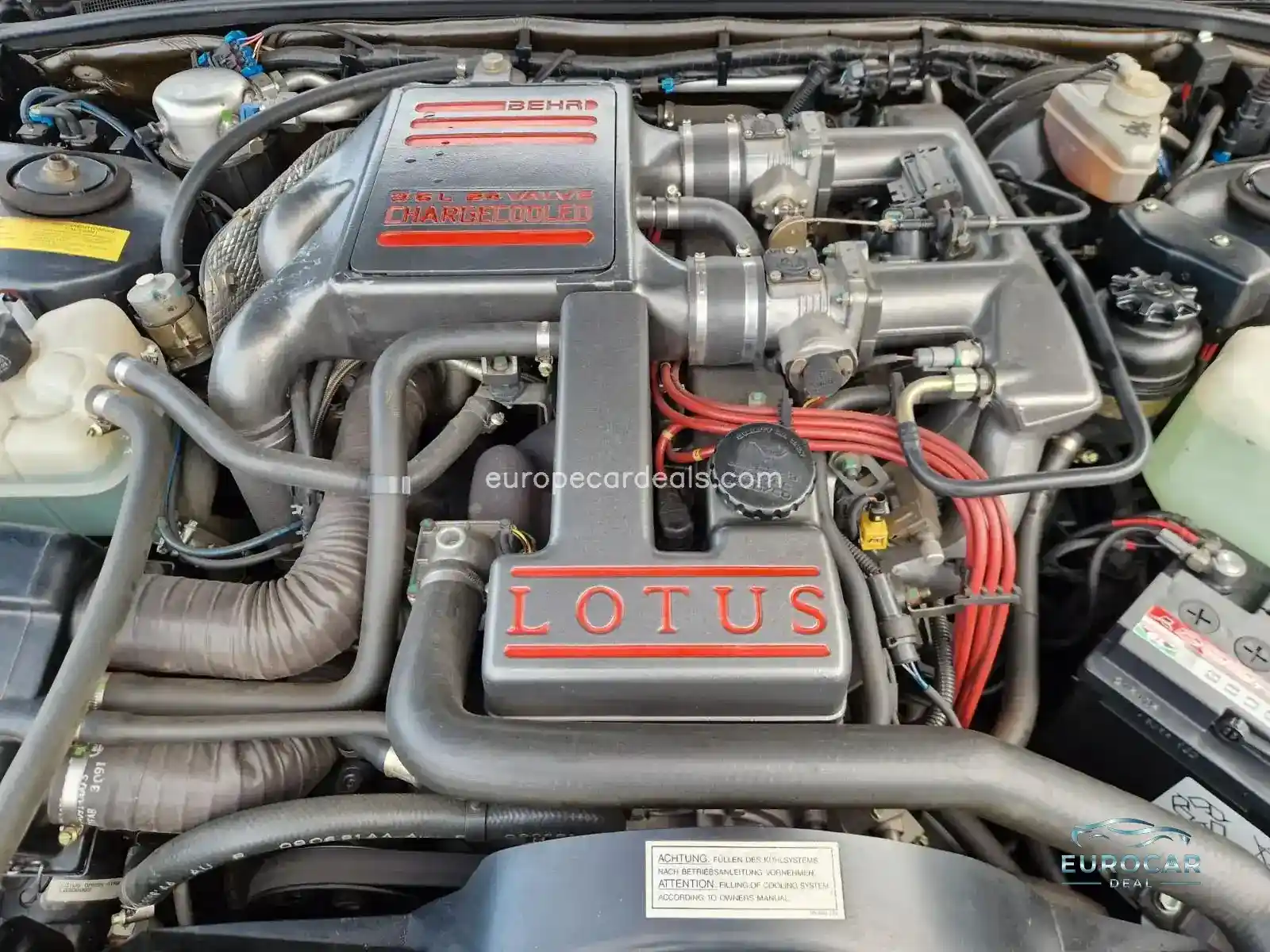 Lotus Other