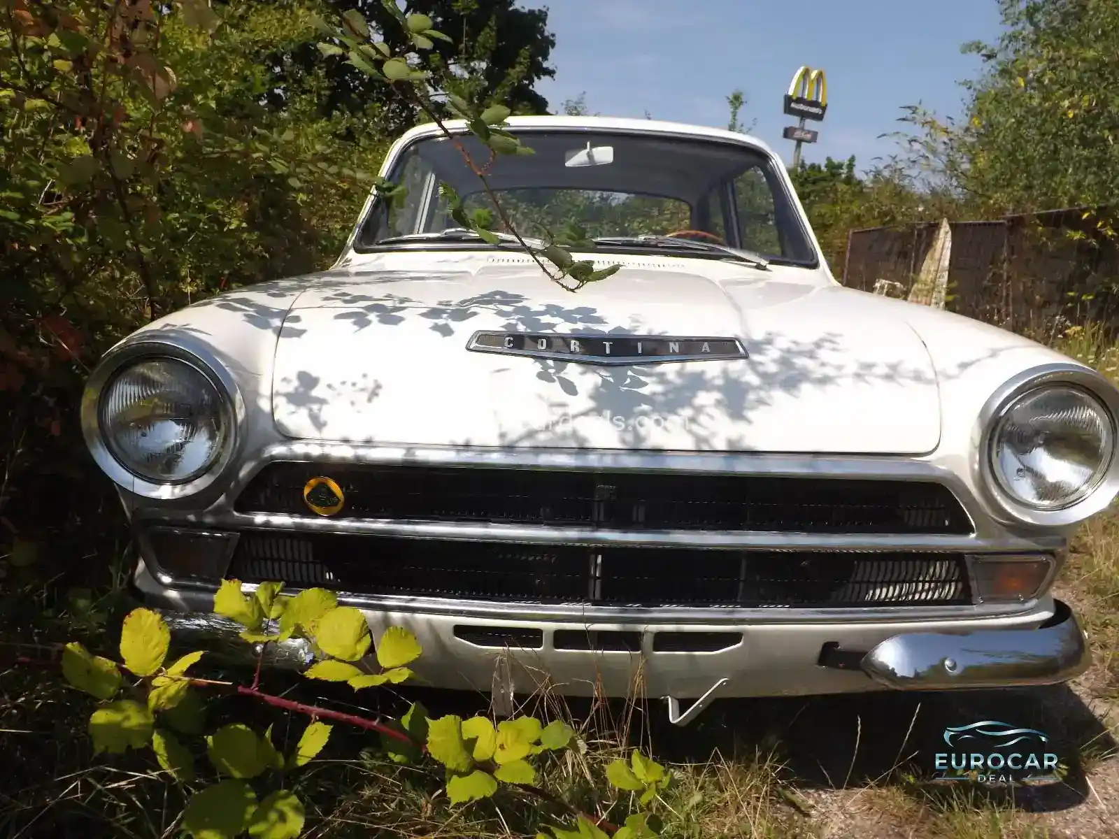 Lotus Cortina