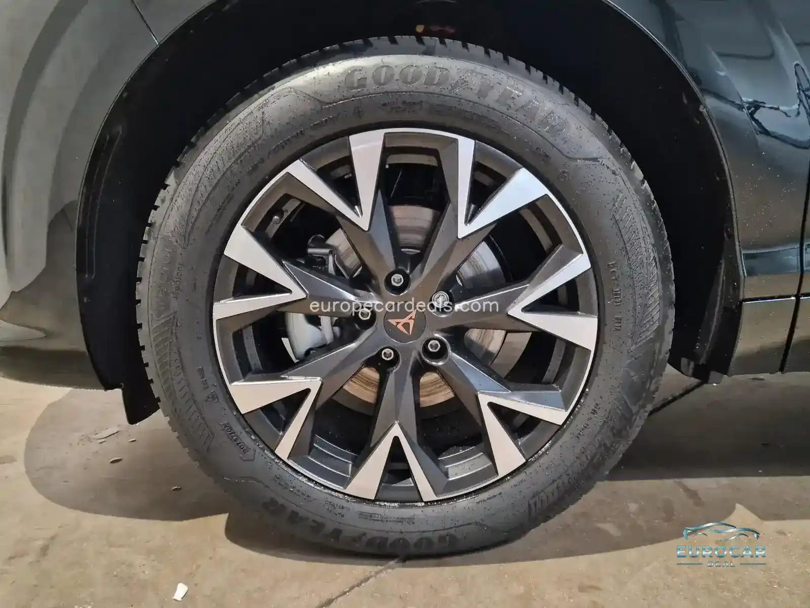 Cupra Terramar