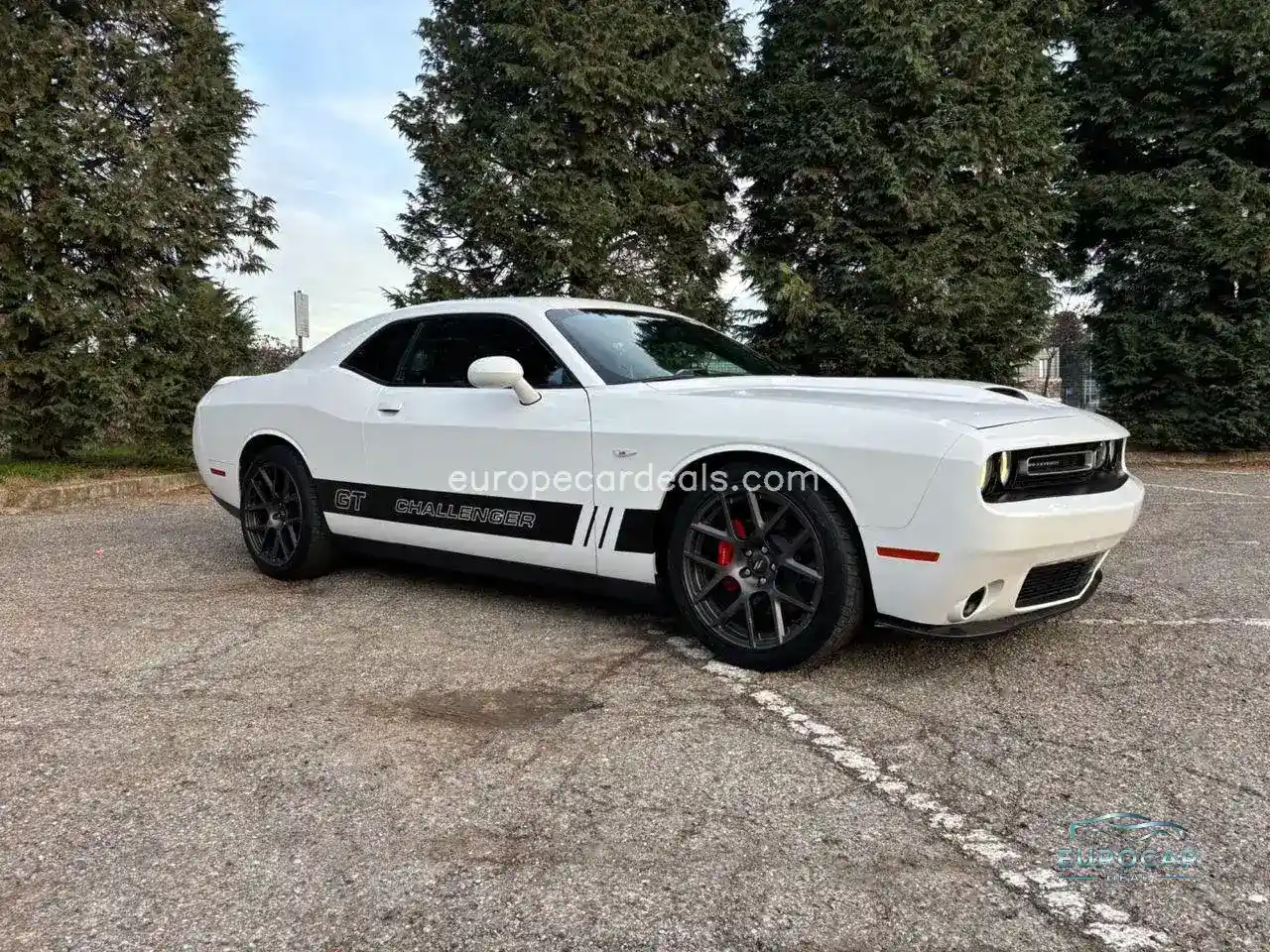 Dodge Other