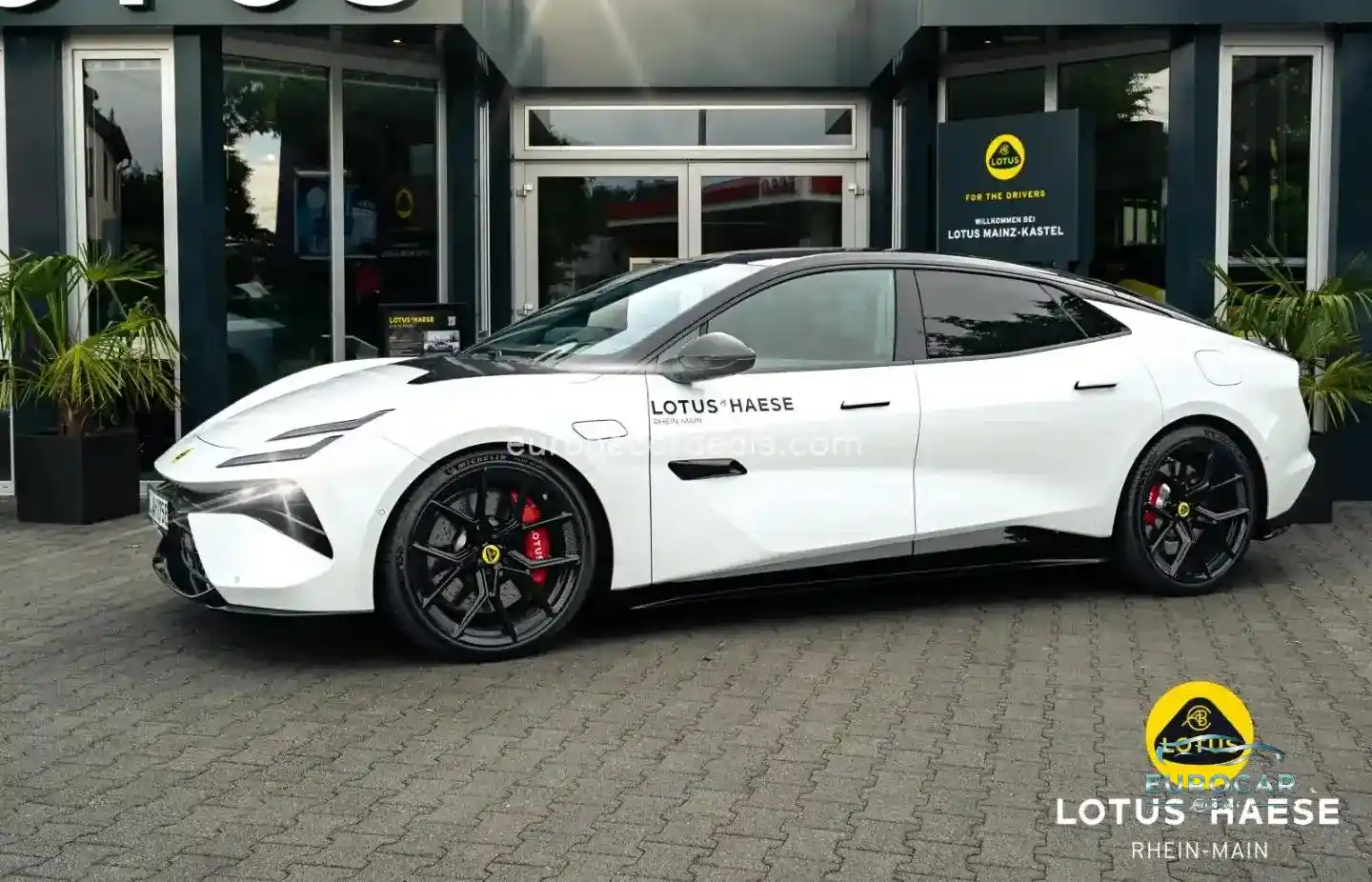 Lotus Emeya