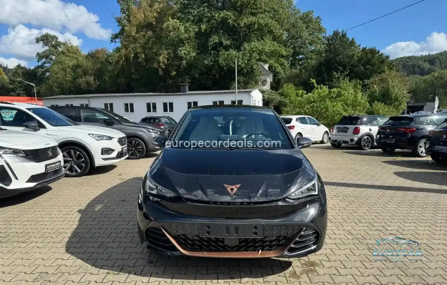 Cupra Born