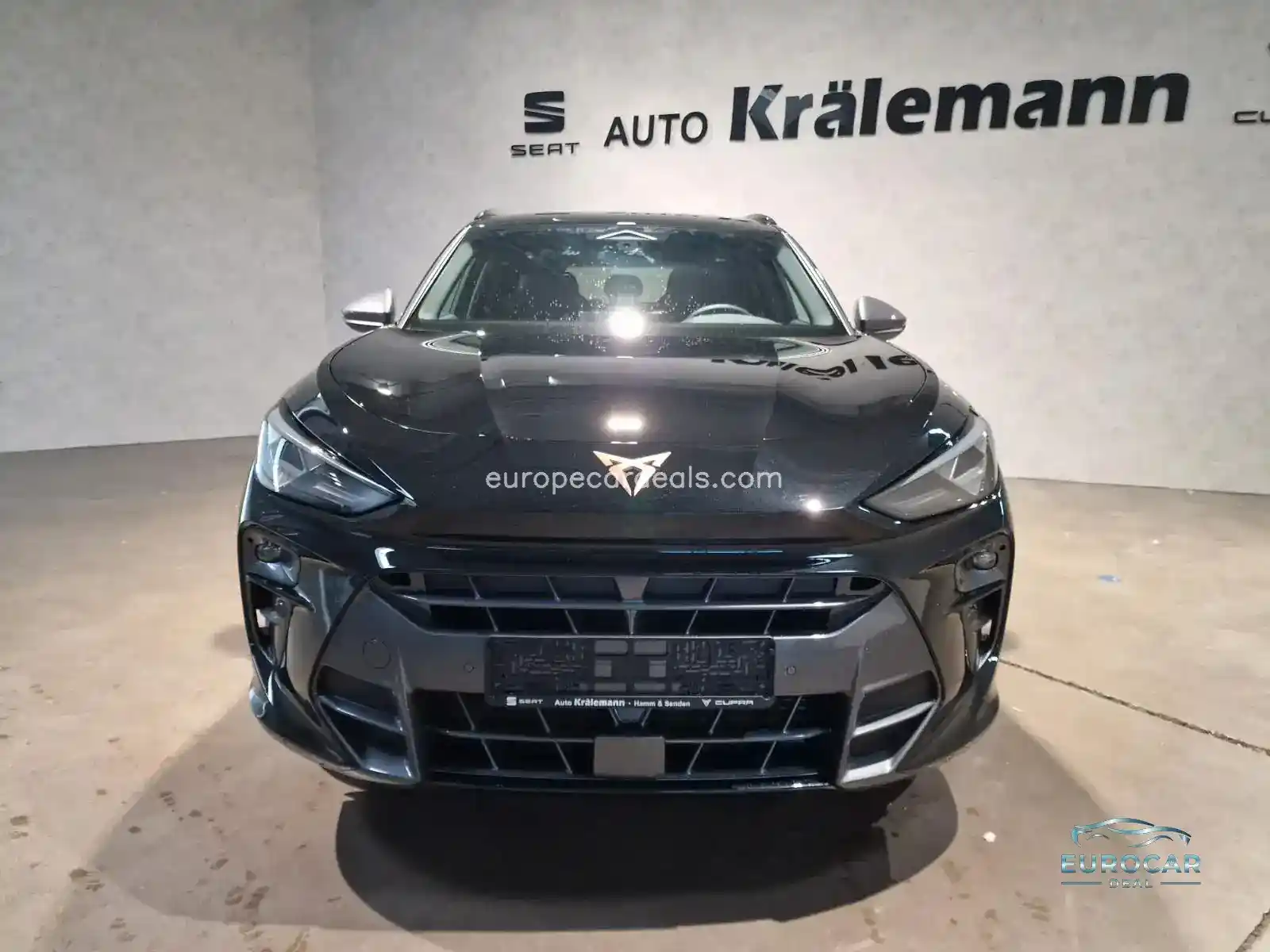 Cupra Terramar