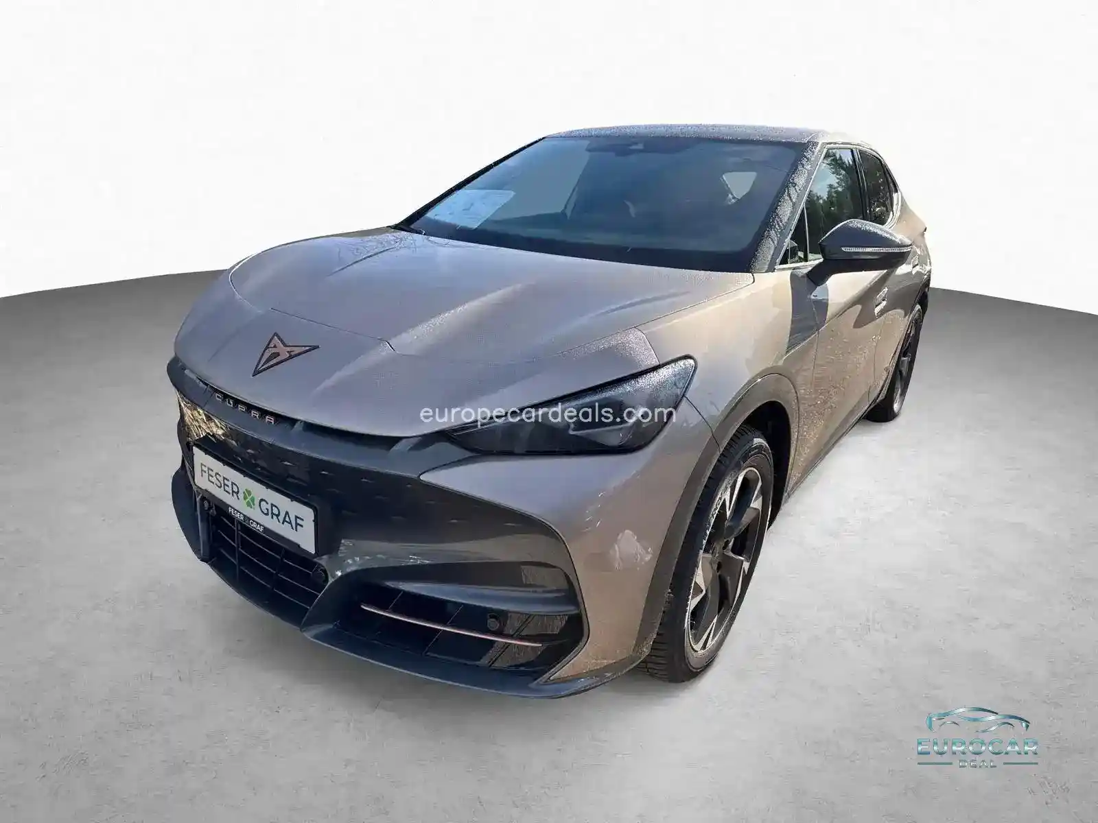 Cupra Tavascan