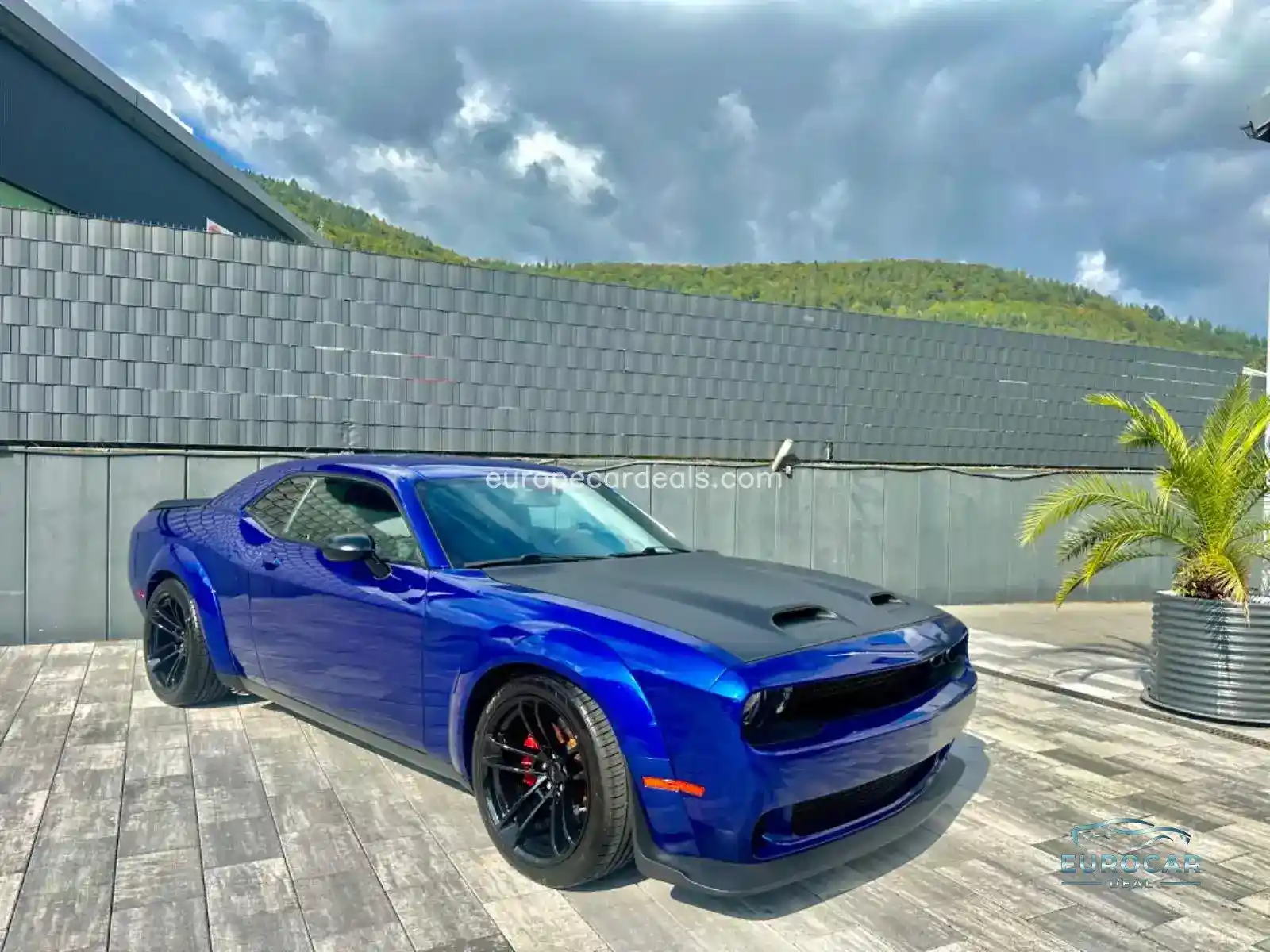 Dodge Challenger