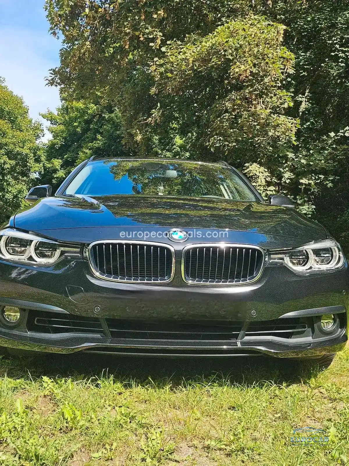 BMW 318