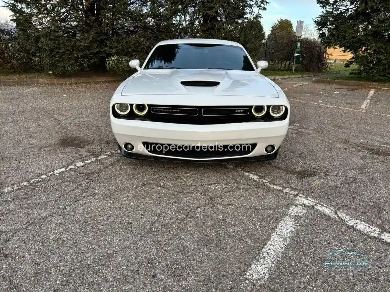Dodge Other