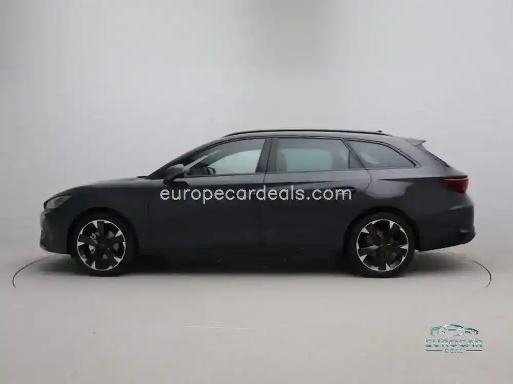 Cupra Other