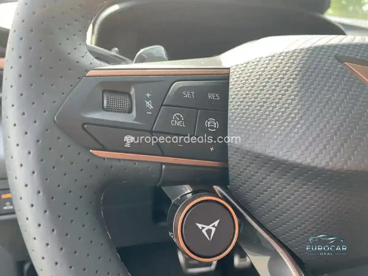 Cupra Terramar