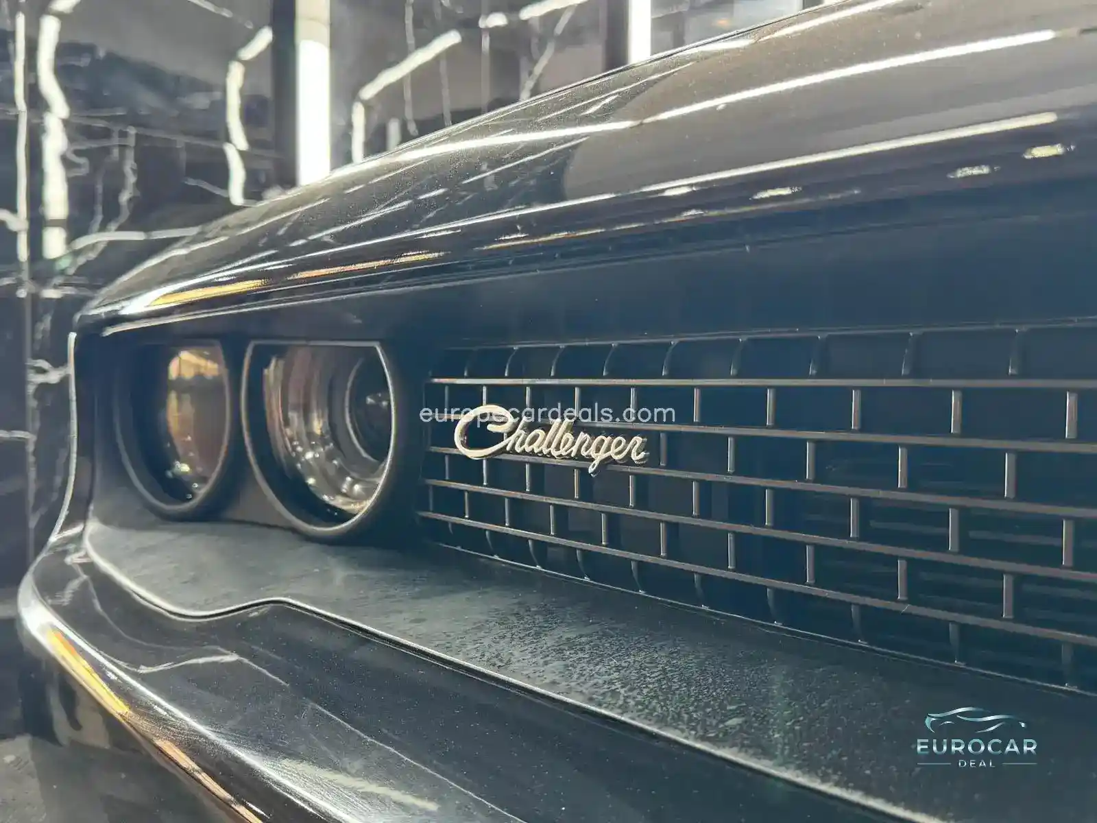 Dodge Other