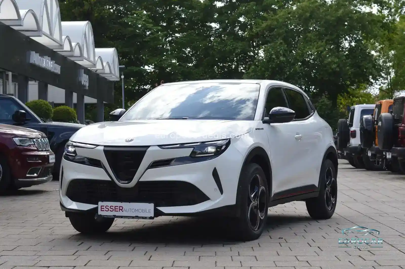 Alfa Romeo Junior