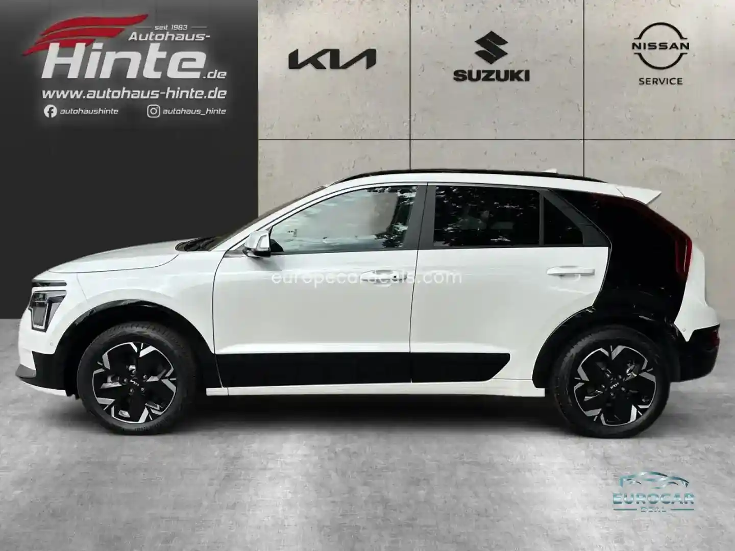 Kia Niro EV
