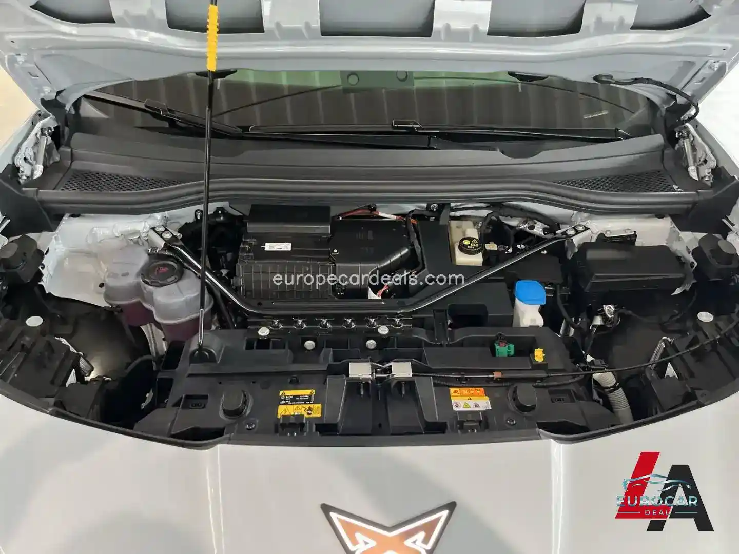Cupra Tavascan