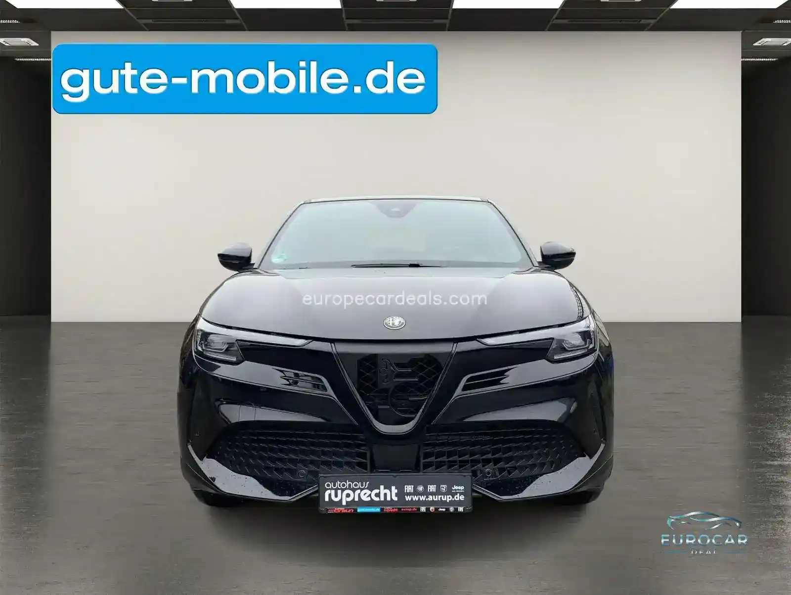 Alfa Romeo Junior