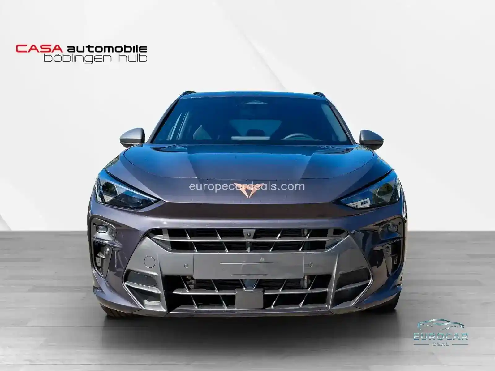 Cupra Terramar
