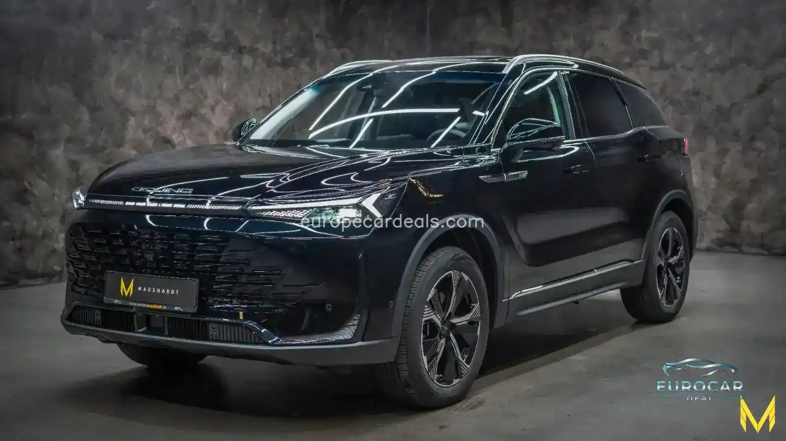BAIC Other