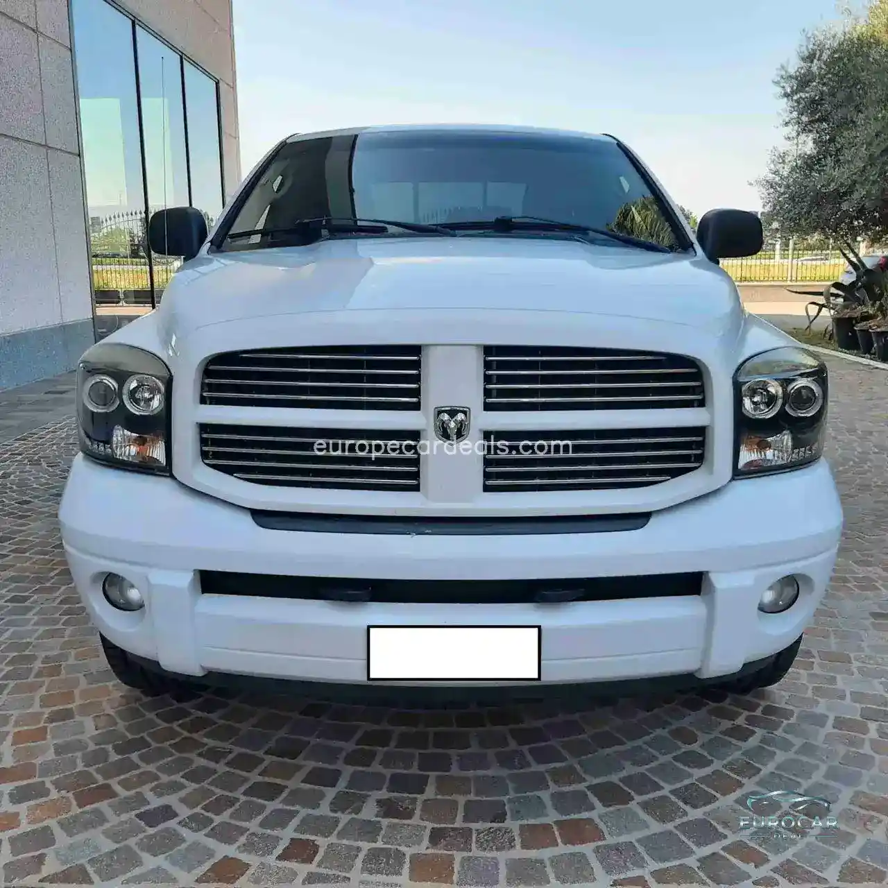 Dodge Other