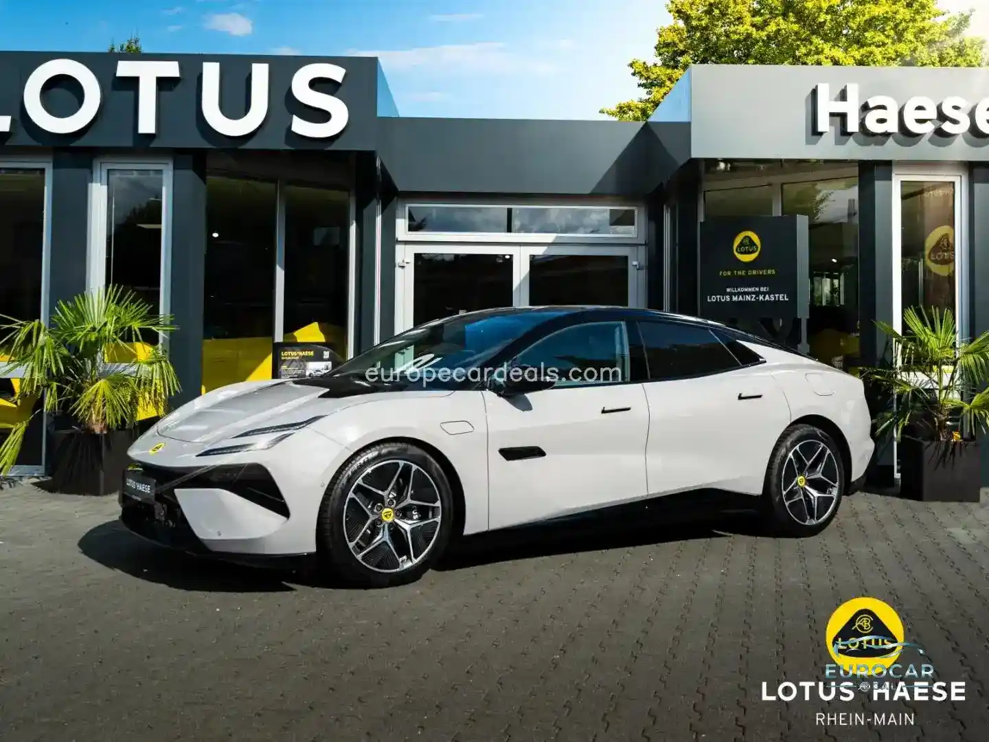 Lotus Emeya