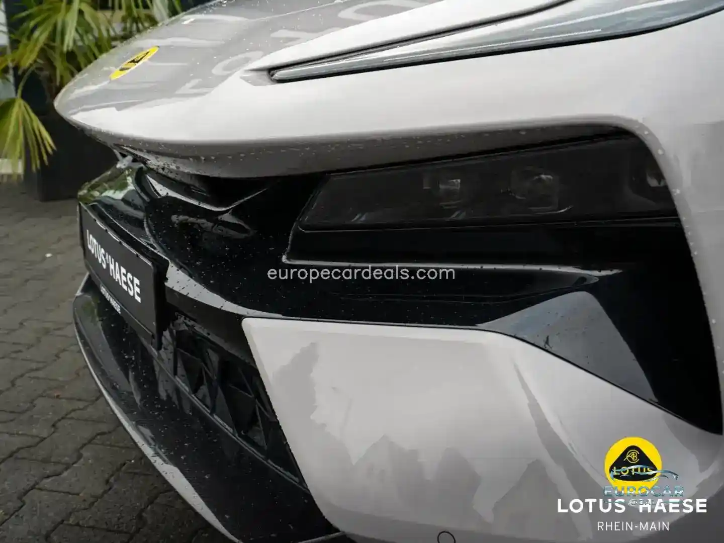 Lotus Eletre