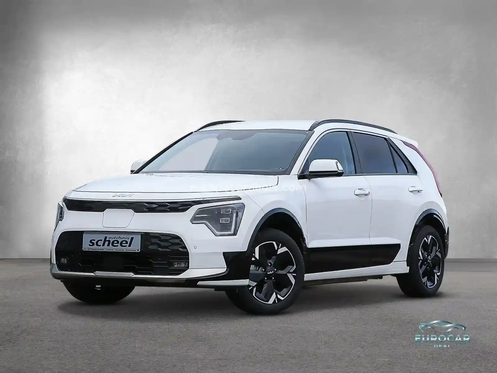 Kia Niro EV