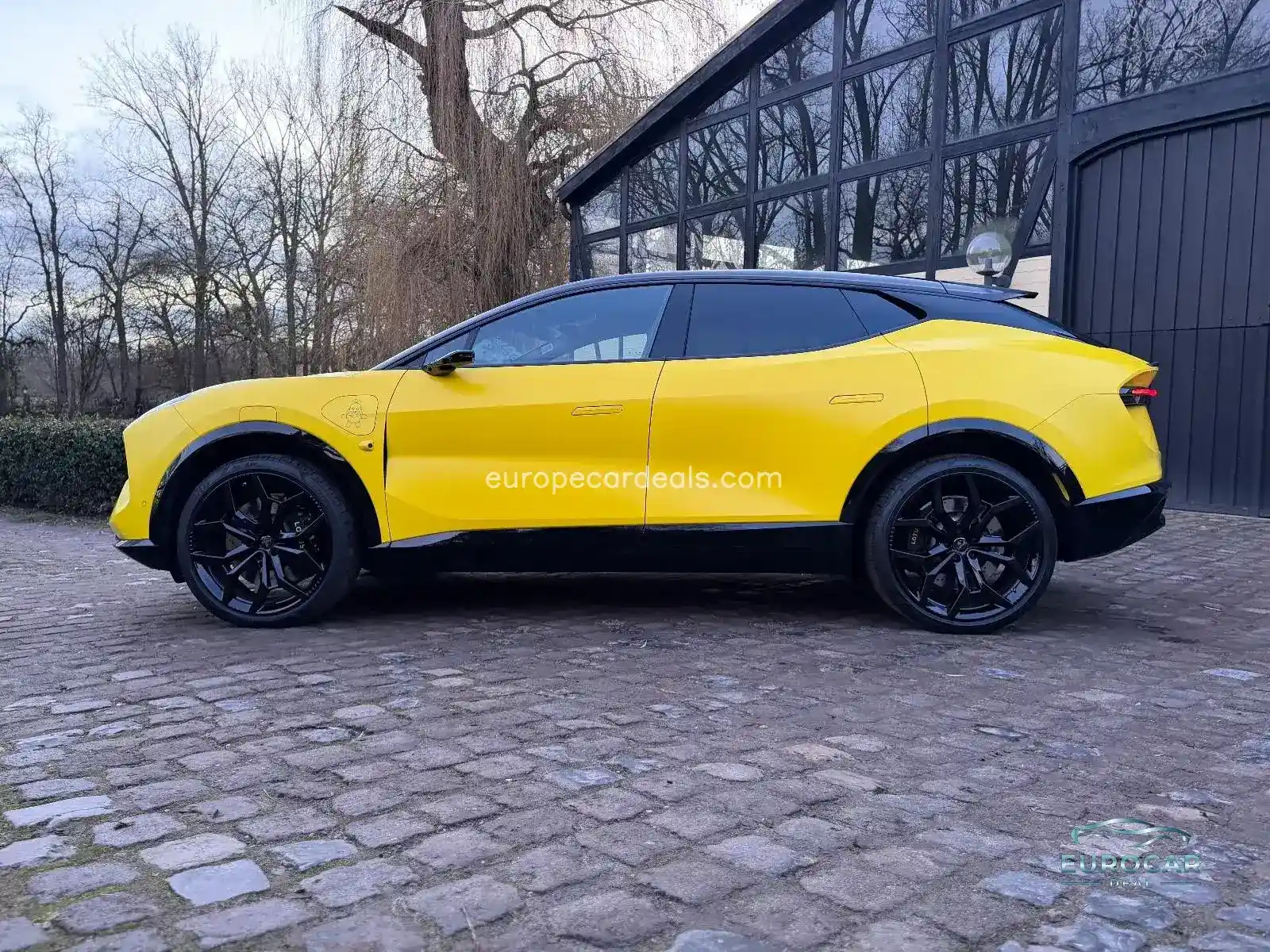 Lotus Eletre