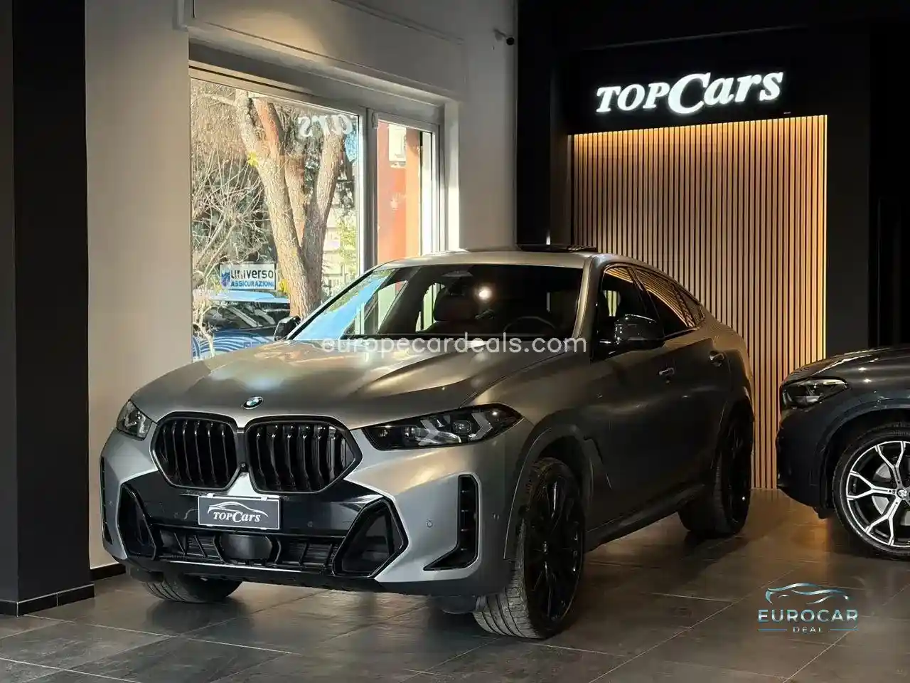 BMW X6
