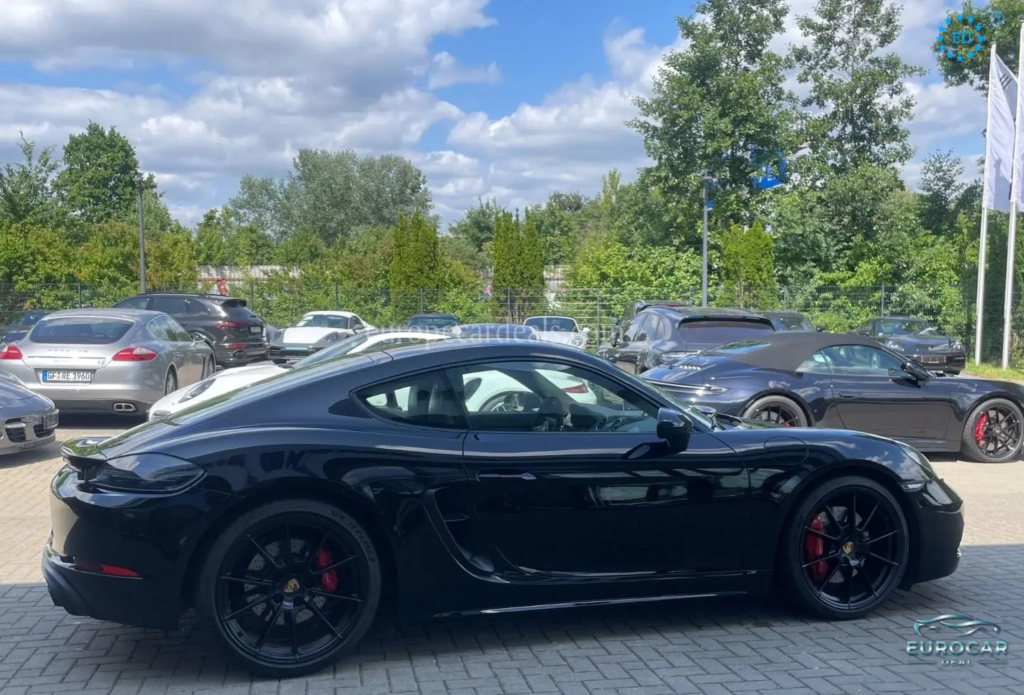 Porsche Cayman