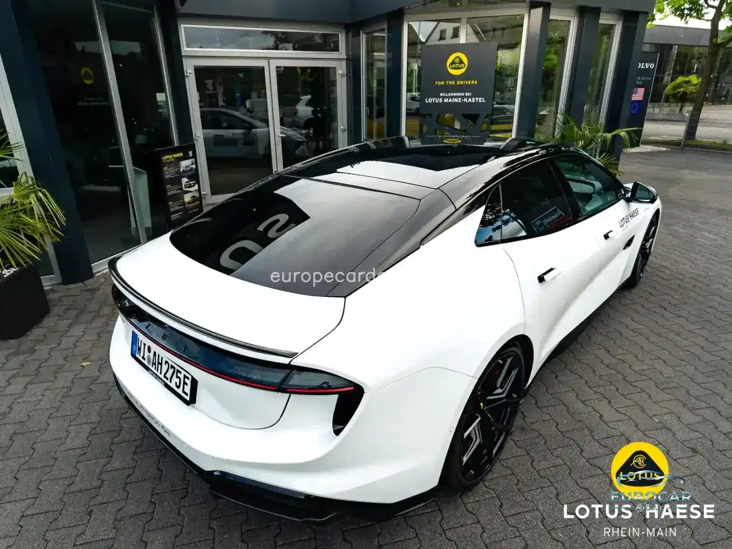 Lotus Emeya