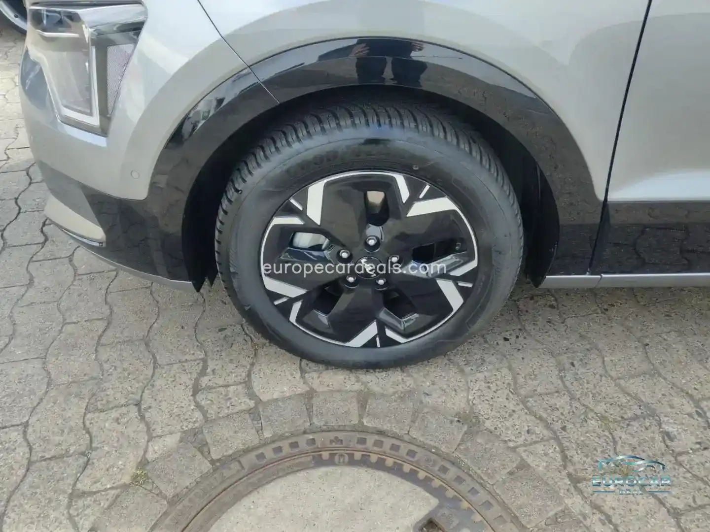 Kia Niro EV