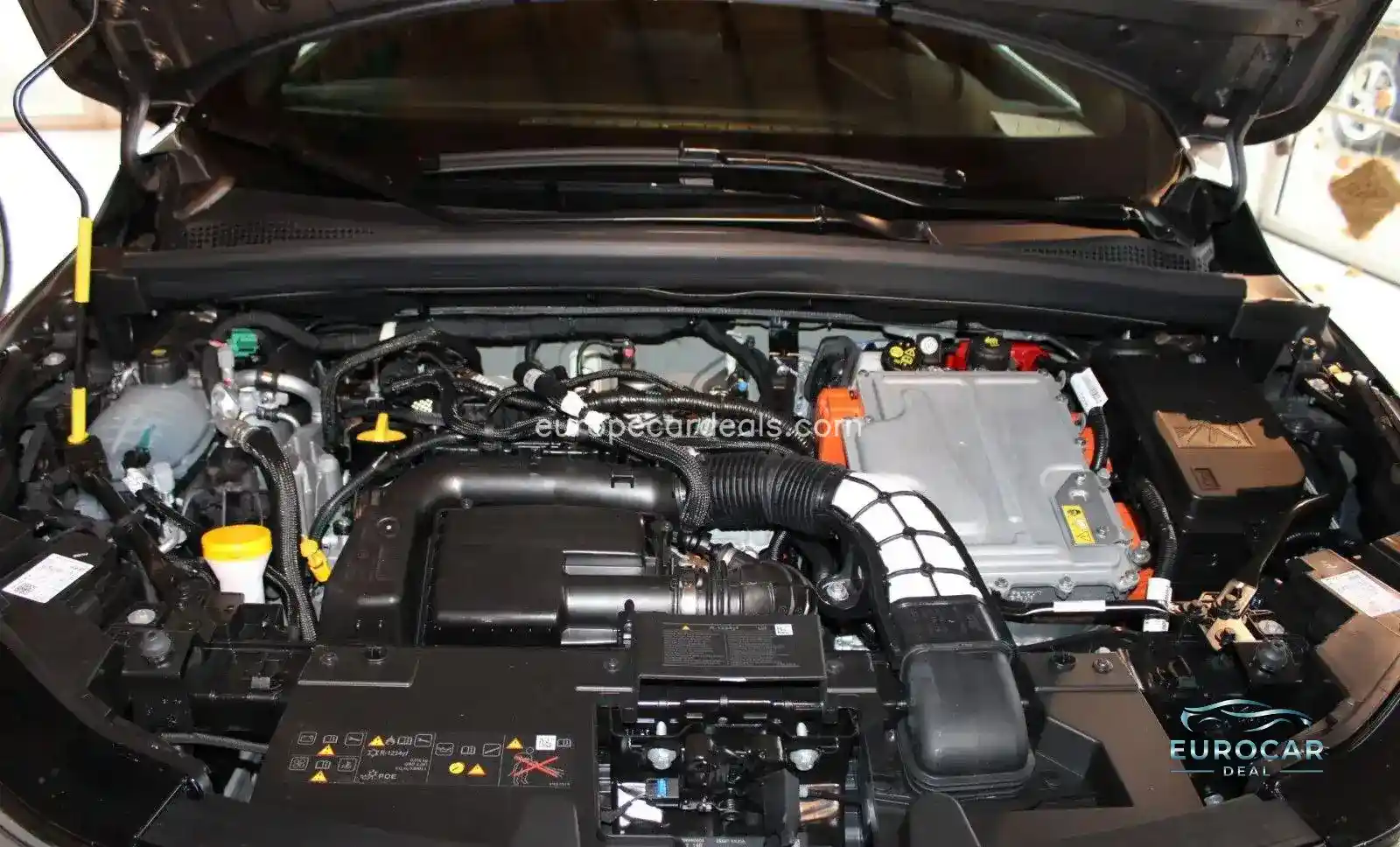 Mitsubishi Grandis