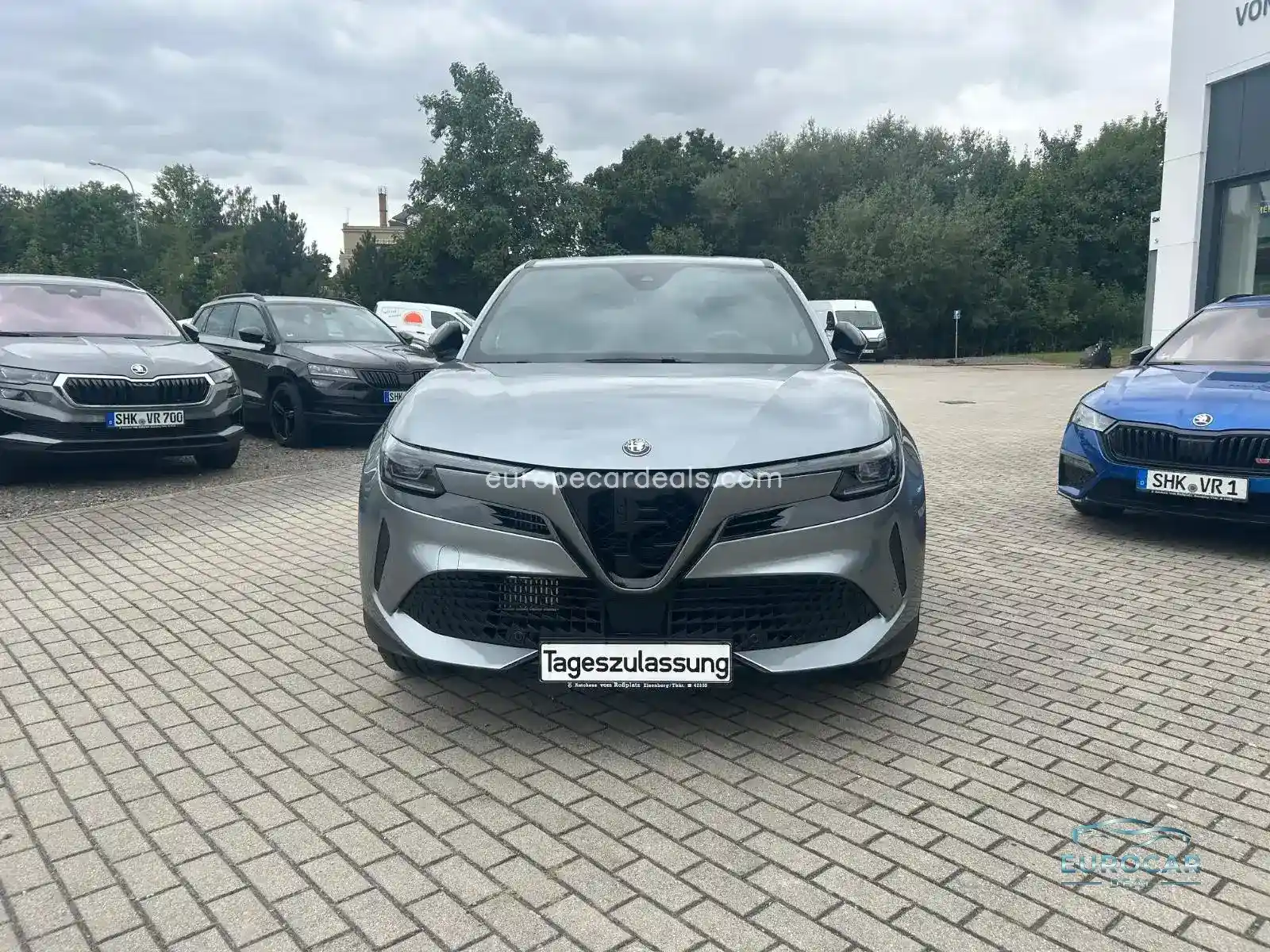 Alfa Romeo Junior