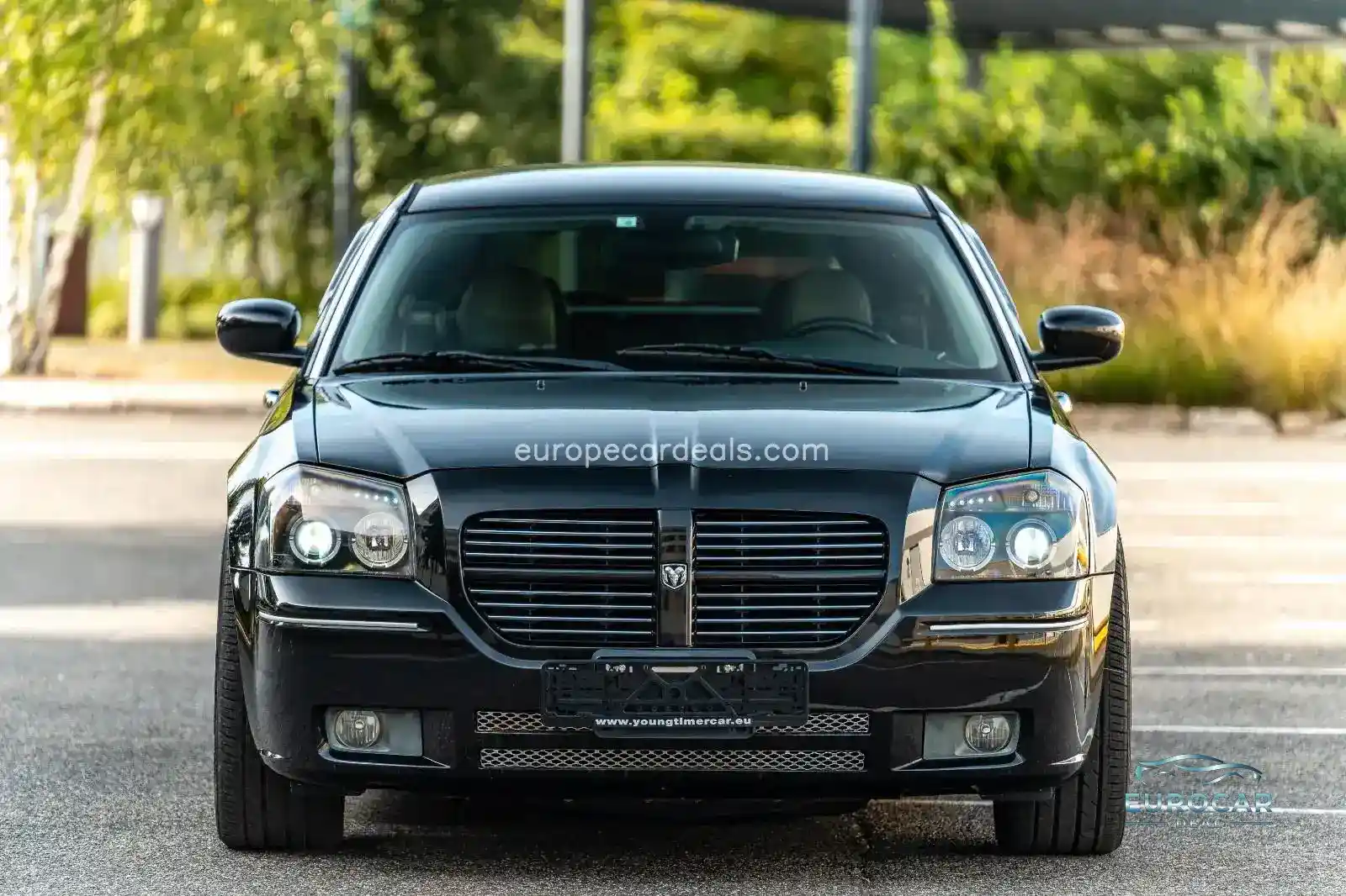 Dodge Magnum