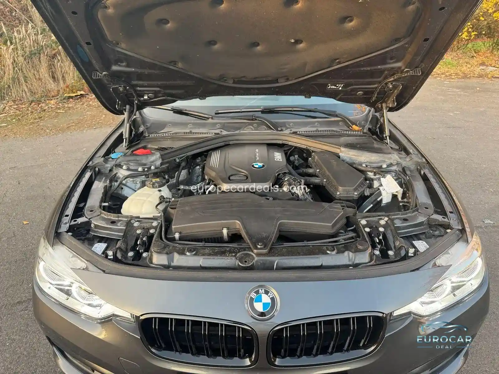 BMW 318