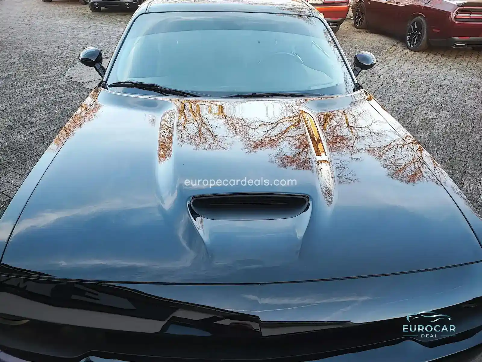 Dodge Challenger