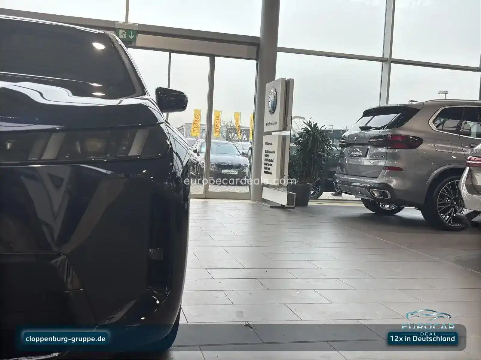 BMW iX